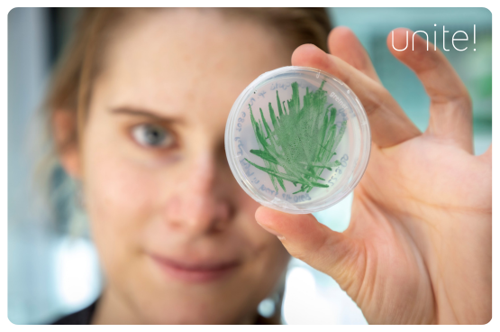 Image of a woman showing a sample of biomaterials